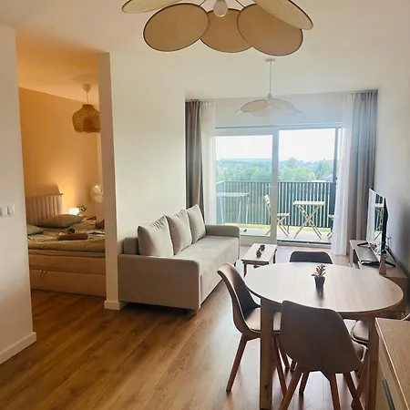 Flat タルノフスキェ・グルィ